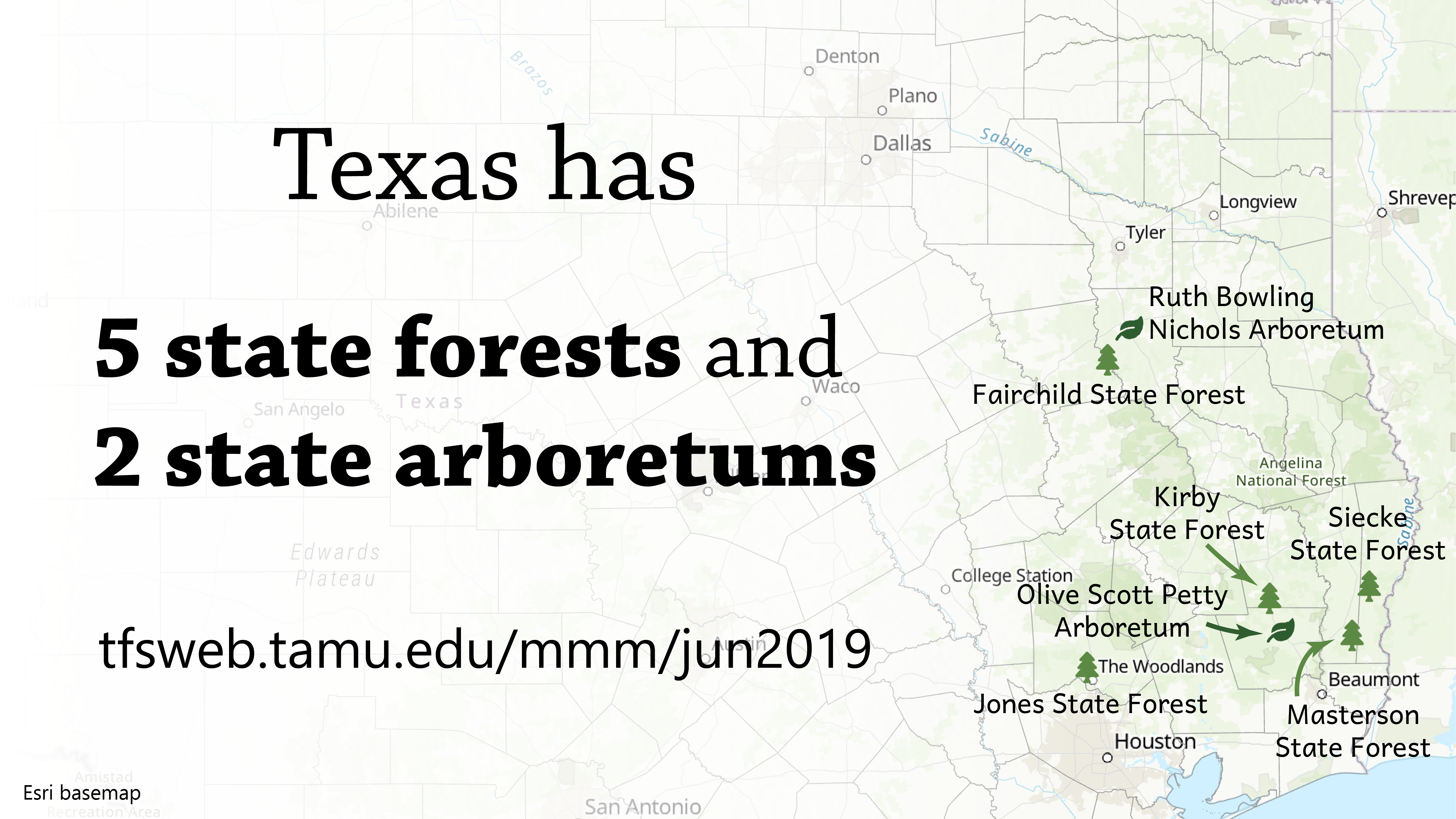 Texas State Forests and Arboretums